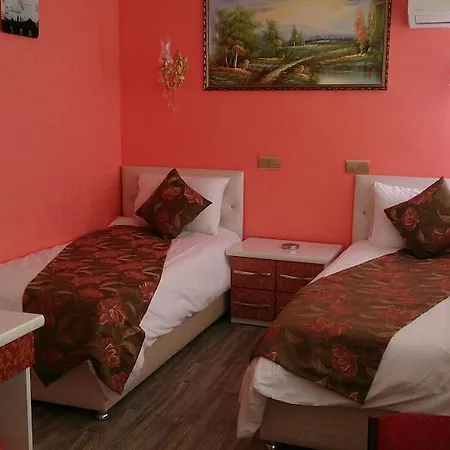 Hotell Celik Saray *
