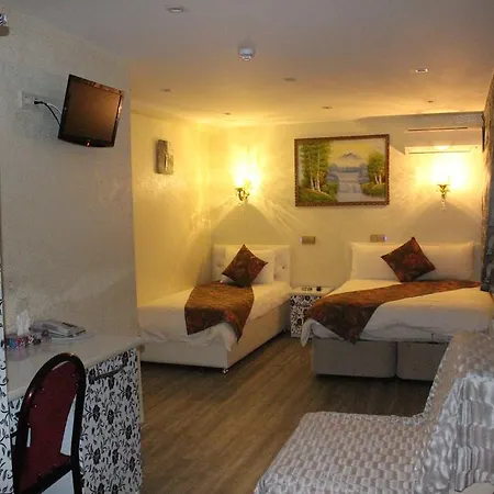 Hotell Celik Saray *