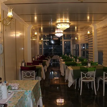 Celik Saray Hotell *