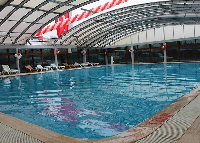 Hotel Celik Saray Pamukova