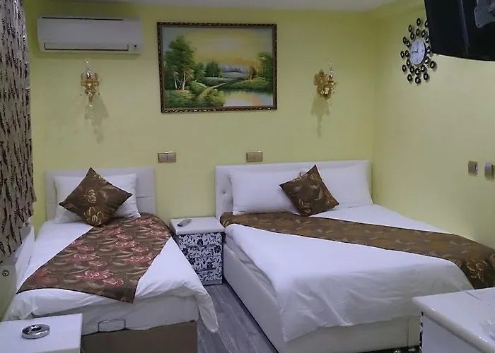 Celik Saray * Pamukova