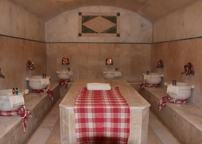 Celik Saray * Pamukova