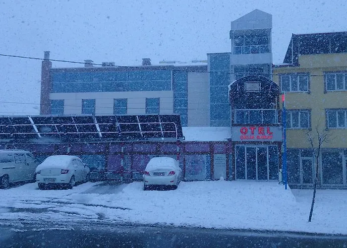 Celik Saray Pamukova