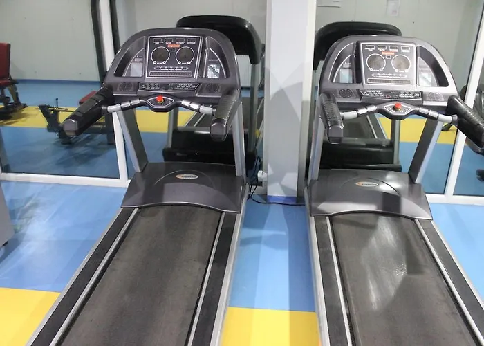 Hotel Celik Saray Pamukova