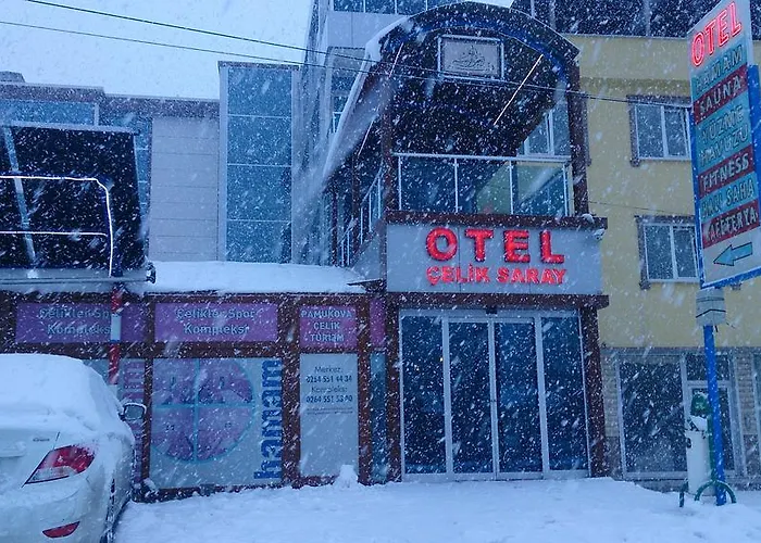 Celik Saray * Pamukova