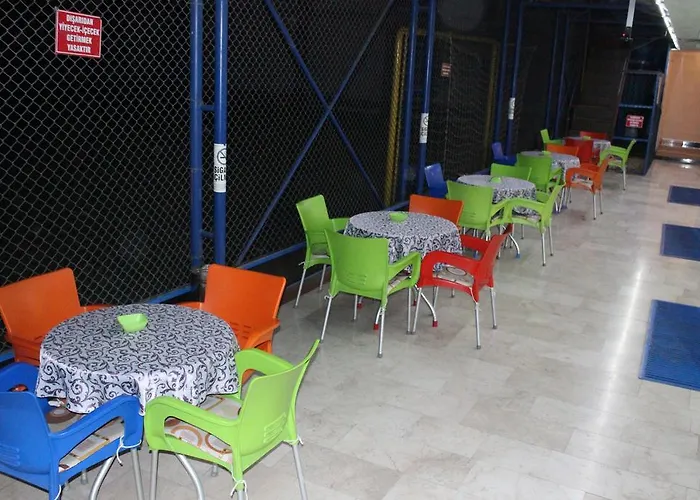 Hotel Celik Saray Pamukova