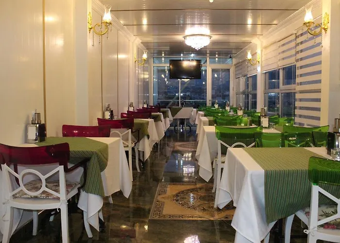 Celik Saray Pamukova